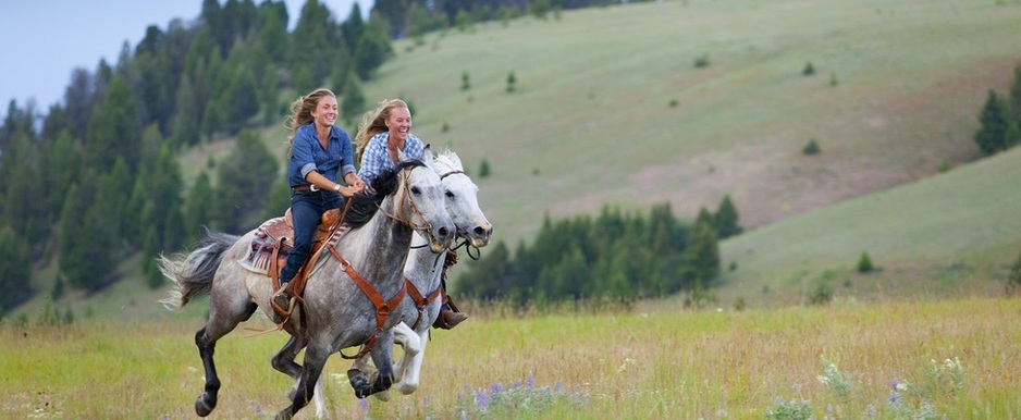how to do horseback riding, horseback riding in germany